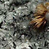 Sazhinite-(Ce) & Tuperssuatsiaite