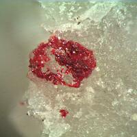 Arsiccioite & Routhierite