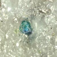 Bavsiite & Suzukiite