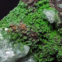 Calcite & Conichalcite