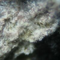 Afwillite & Ettringite