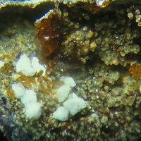 Jarosite Scorodite & Bariopharmacosiderite