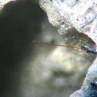 Pseudobrookite Hematite & Magnetite