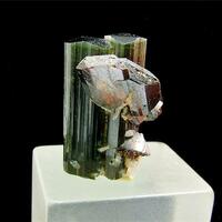Elbaite With Tantalite-(Mn)