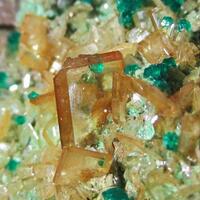 Dioptase On Wulfenite & Mixite