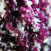 Kämmererite & Hydromagnesite