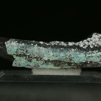 Chalconatronite & Thénardite