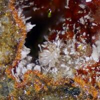 Mopungite With Cetineite & Stibnite