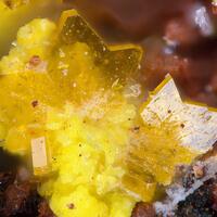 Billietite & Uranopilite