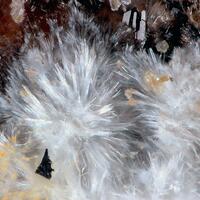 Eugsterite & Feynmanite