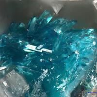 Utahite & Dagenaisite & Xocolatlite & Zincospiroffite