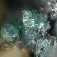 Bottinoite