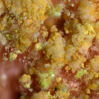 Ottohahnite & Plášilite