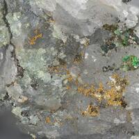 Choloalite & Gold Petzite Hessite
