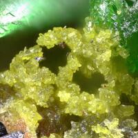 Betpakdalite-CaMg & Sewardite