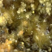 Deliensite & Straßmannite