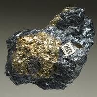 Pyrite In Bornite