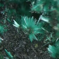 Brochantite Brochantite