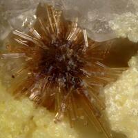 Kinichilite