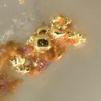 Native Tellurium With Native Gold