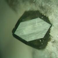 Boracite