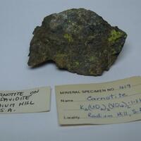 Carnotite & Davidite-(La)