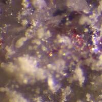 Routhierite Arsiccioite & Protochabournéite