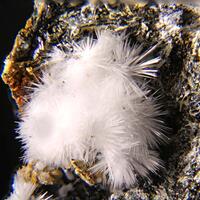 Canavesite Inderite & Dypingite