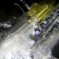 Clinojimthompsonite Jimthompsonite & Chesterite Clinojimthompsonite Jimthompsonite & Chesterite