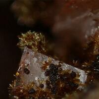 Cobaltlotharmeyerite Cobaltaustinite & Roselite