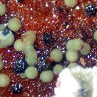 Lipscombite & Meurigite