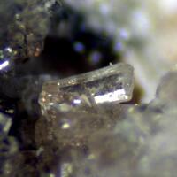 Whiteite-(MnFeMg) & Hureaulite