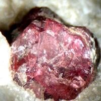 Rhodolite