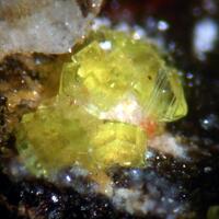 Saléeite Cyrilovite Laueite & Leucophosphite