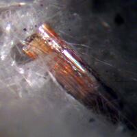 Vigezzite Fluorapatite & Roggianite