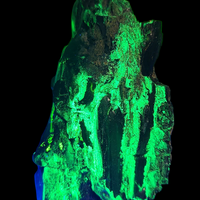 Uramarsite & Natrozippeite On Coal