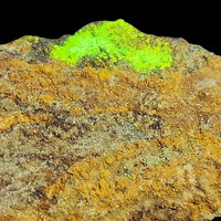 Zinczippeite With Gypsum & Römerite On Uraninite