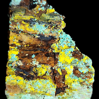 Natrozippeite On Petrified Wood With Malachite