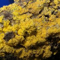 Natrozippeite On Uraninite