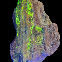 Uraninite Psm Wood In Sandstone