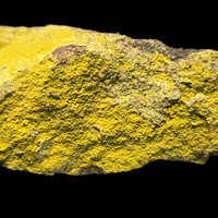 Carnotite On Sandstone