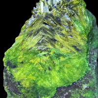 Cuprosklodowskite With Uranophane & Sklodowskite