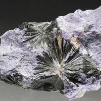 Aegirine & Charoite