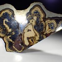 Schalenblende Schalenblende