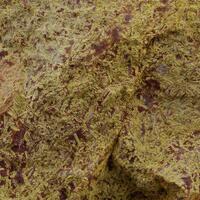 Bismite Psm Native Bismuth