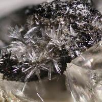 Deveroite-(Ce) & Cervandonite-(Ce)