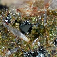 Palenzonaite & Copper & Goldmanite