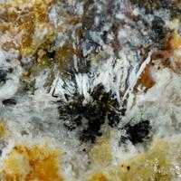 Macdonaldite & Krauskopfite