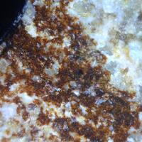 Reppiaite & Sarkinite