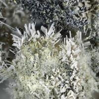 Pseudocotunnite & Bismuthinite